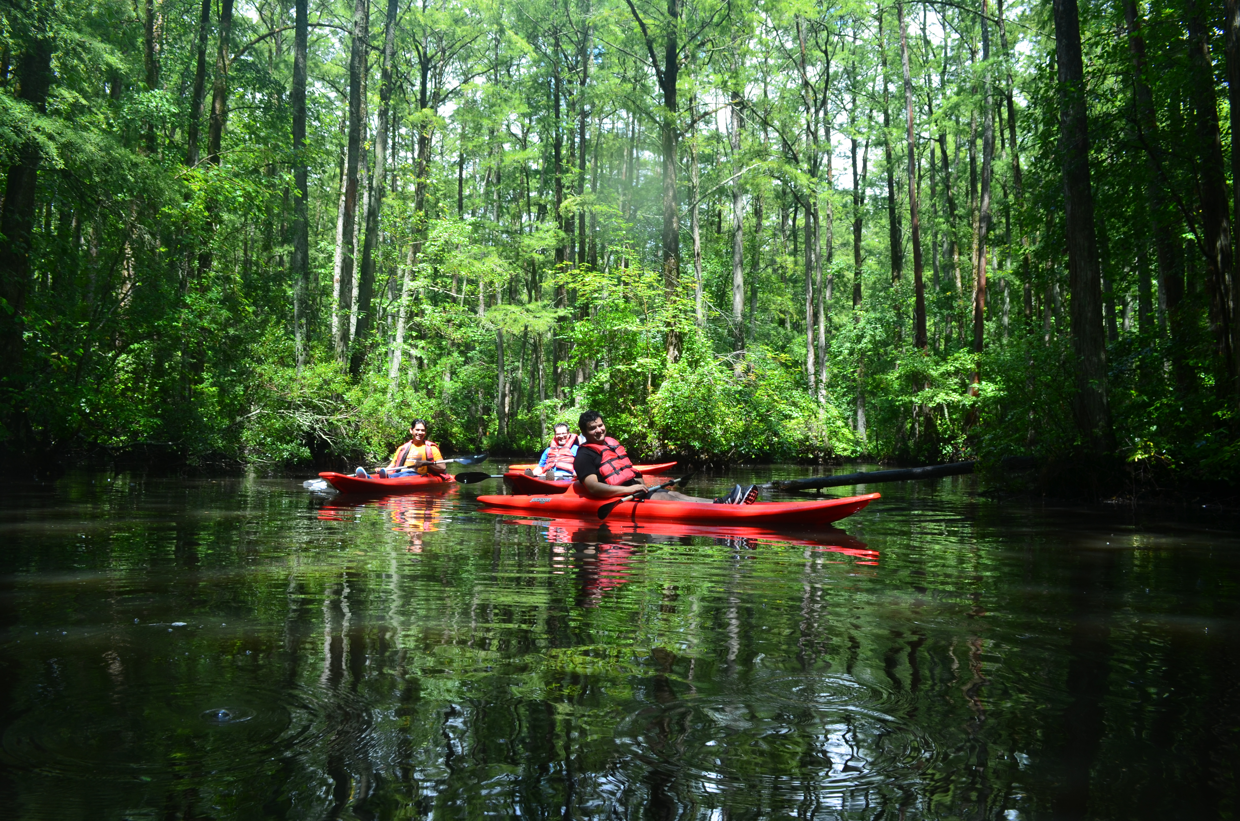 ./2017/13 - Roberson Millpond Preserve/DSC_0609.JPG